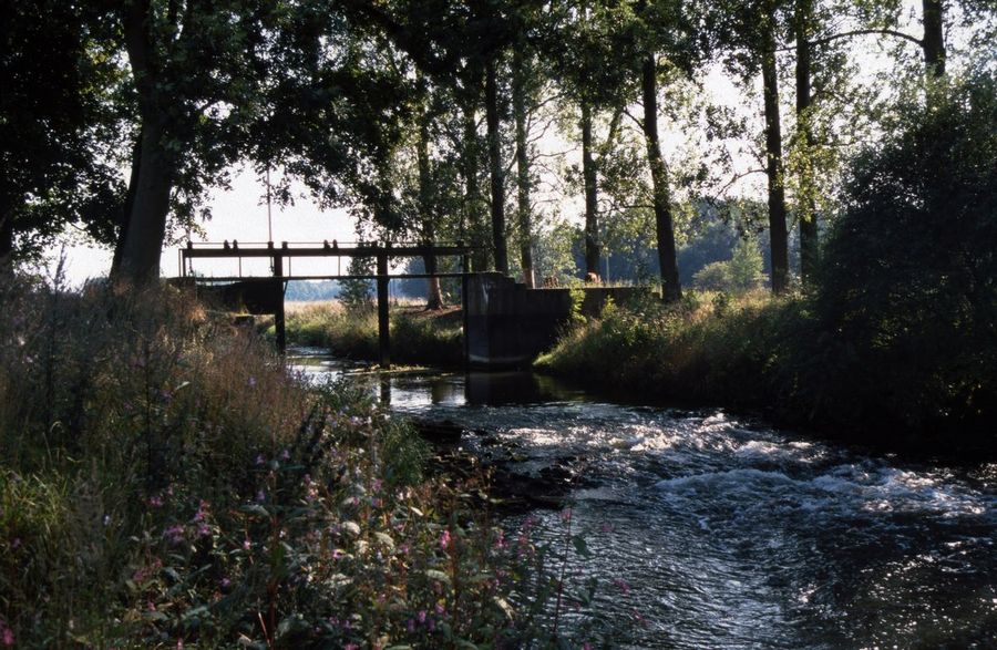 An der Hase © Wallenhorst.de