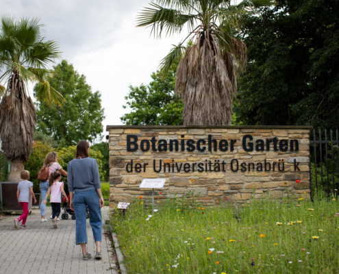 botanischer Garten