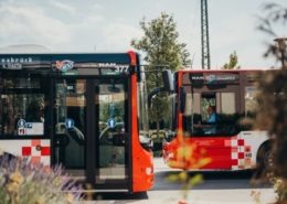 3G-Nachweiskontrollen