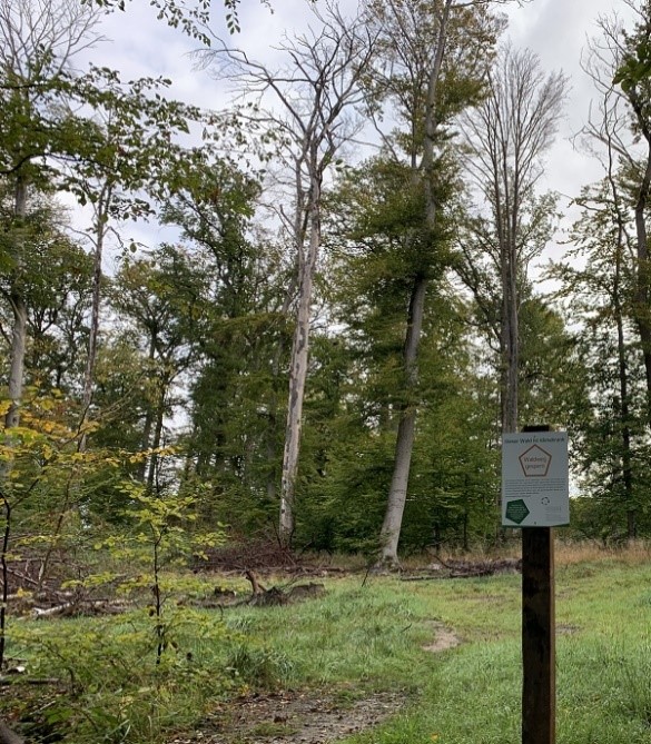 Für Landesamt für Statistik liegt Niedersachsen hinter seinen